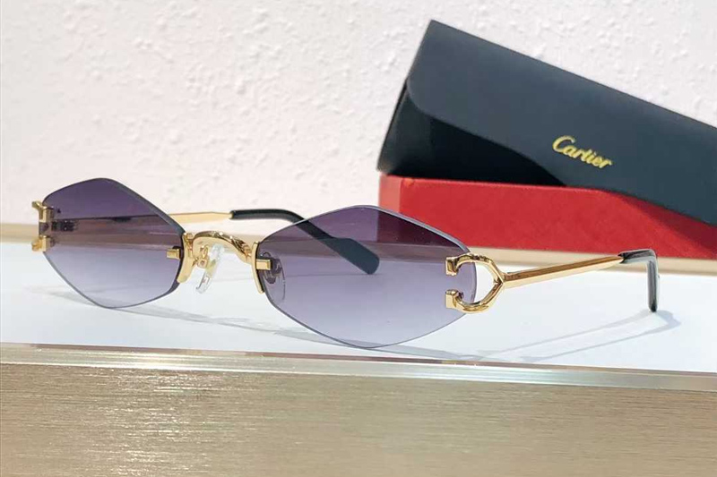 CT8100359 Sunglasses Gold Gradient Blue