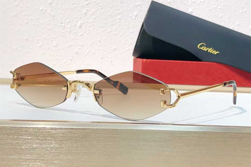 CT8100359 Sunglasses Gold Gradient Brown