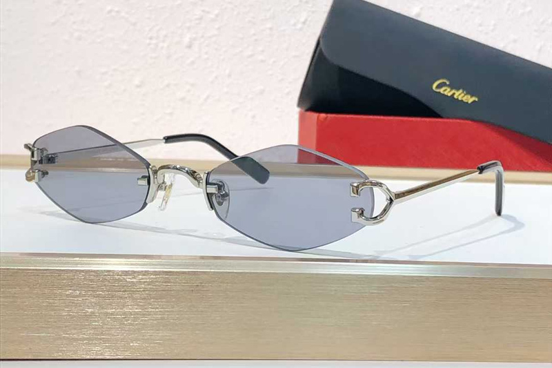 CT8100359 Sunglasses Silver Gray