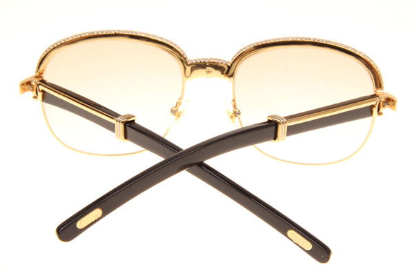 CT 1116679 Diamond Black Buffalo Sunglasses In Gold Brown