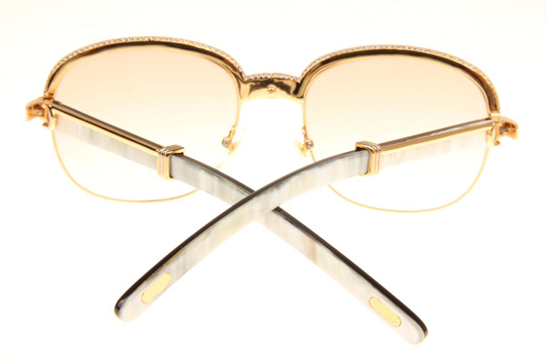 CT 1116679 Diamond White Mix Black Buffalo Sunglasses In Gold Brown