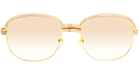CT 1116679 Diamond Wood Sunglasses In Gold Brown