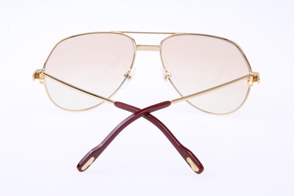 CT 1324912 Sunglasses In Gold Brown