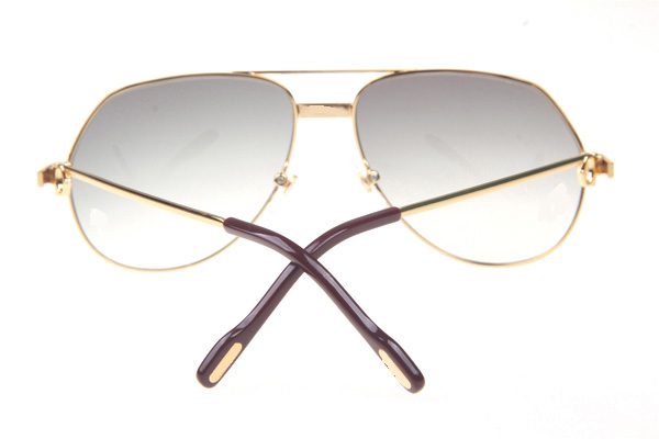 CT 1324912 Sunglasses In Gold Grey