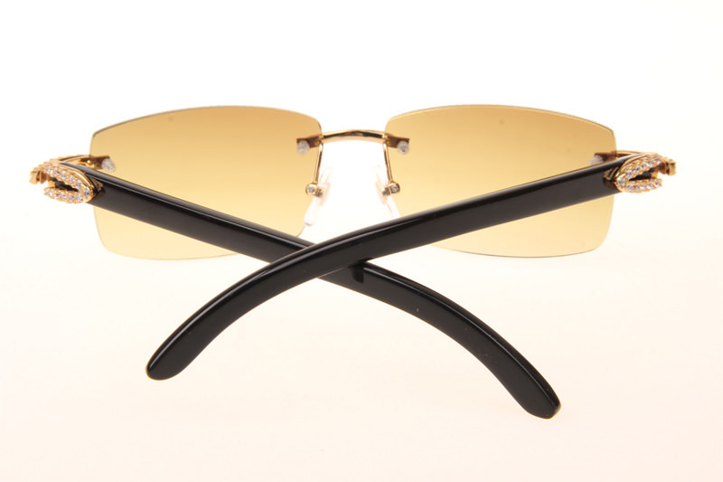 CT 3524012 Big Diamond Black Buffalo Sunglasses In Gold Brown