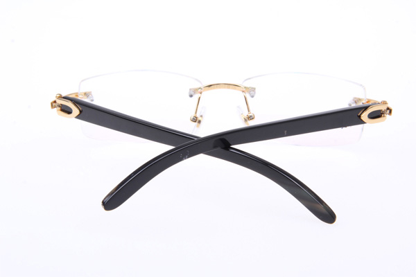 CT 3524012 Black Buffalo Eyeglasses In Gold