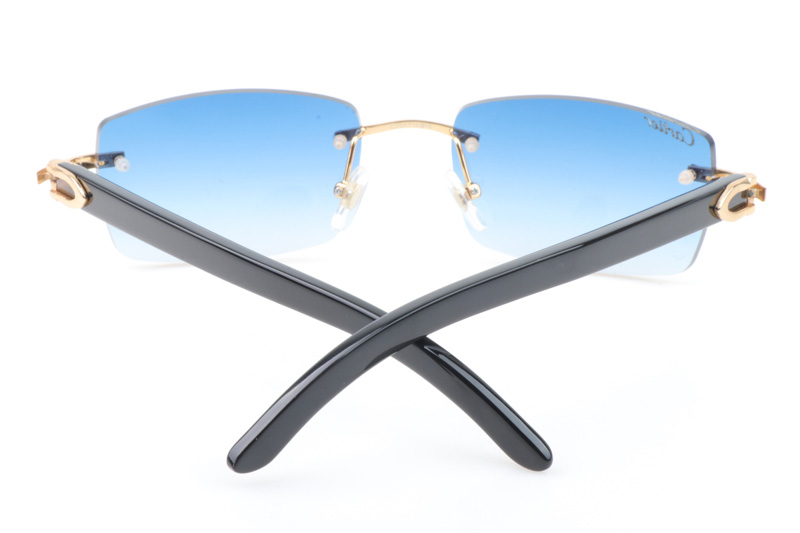 CT 3524012 Black Buffalo Sunglasses In Gold Gradient Blue