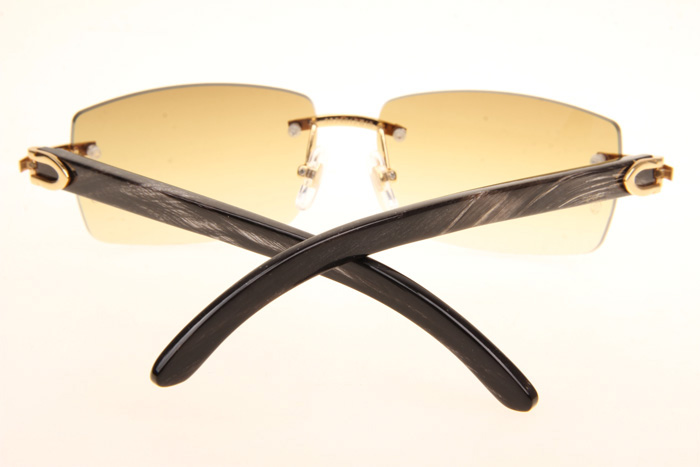 CT 3524012 Black Grey Buffalo Sunglasses In Gold Brown