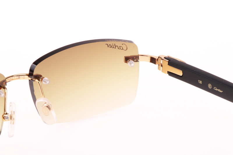 CT 3524012 Black Wood Sunglasses In Gold Brown