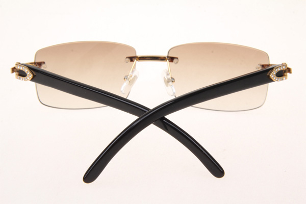 CT 3524012 Diamond Black Buffalo Sunglasses In Gold Brown