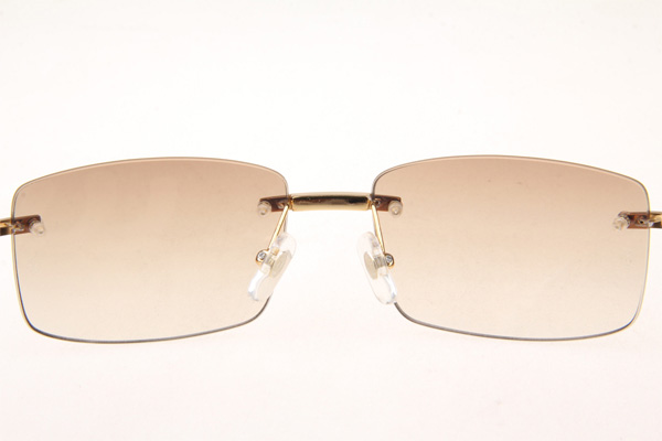 CT 3524012 Diamond Black Buffalo Sunglasses In Gold Brown