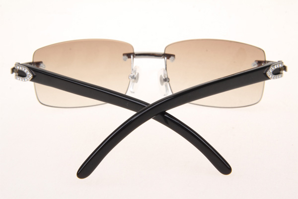 CT 3524012 Diamond Black Buffalo Sunglasses In Silver Brown