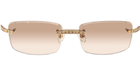 CT 3524012 Diamond White Buffalo Sunglasses In Gold Brown