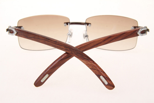 CT 3524012 Diamond Wood Sunglasses In Silver Brown