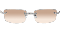 CT 3524012 Diamond Wood Sunglasses In Silver Brown