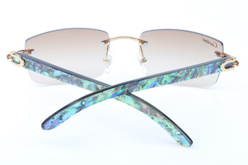 CT 3524012 Shell Mix Black Buffalo Sunglasses In Gold Brown