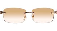 CT 3524012 Shell Mix Black Buffalo Sunglasses In Gold Brown