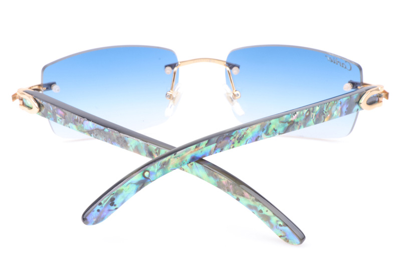 CT 3524012 Shell Mix Black Buffalo Sunglasses In Gold Gradient Blue