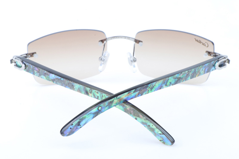 CT 3524012 Shell Mix Black Buffalo Sunglasses In Silver Brown