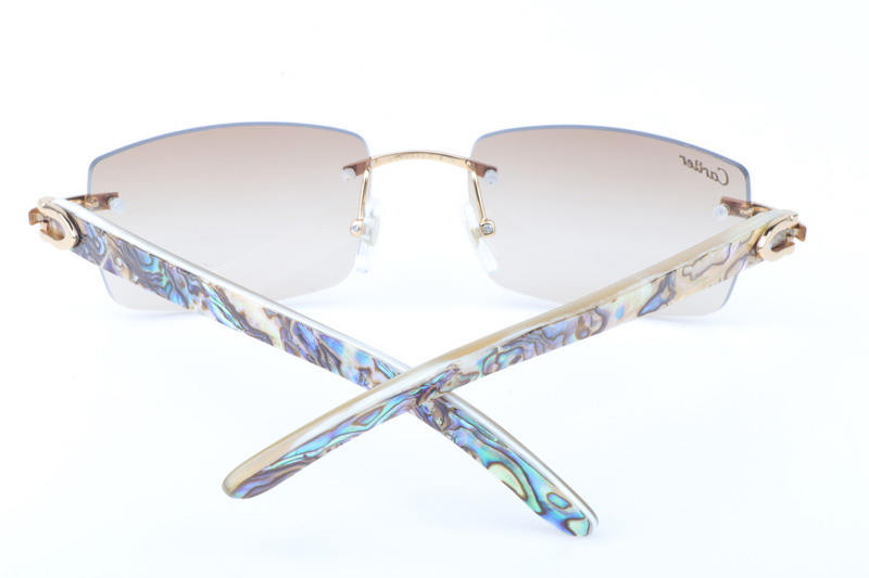 CT 3524012 Shell Mix White Buffalo Sunglasses In Gold Brown