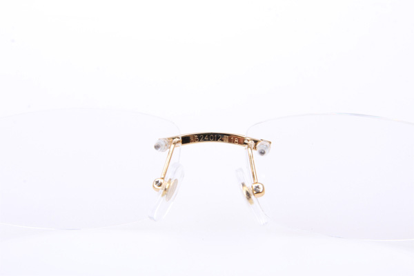 CT 3524012 White Buffalo Eyeglasses In Gold