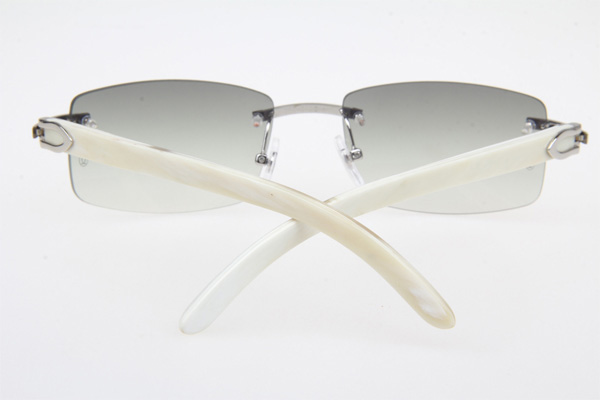 CT 3524012 White Buffalo Sunglasses In Silver Grey