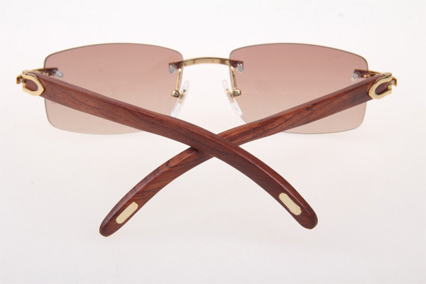CT 3524012 Wood Sunglasses In Gold Brown