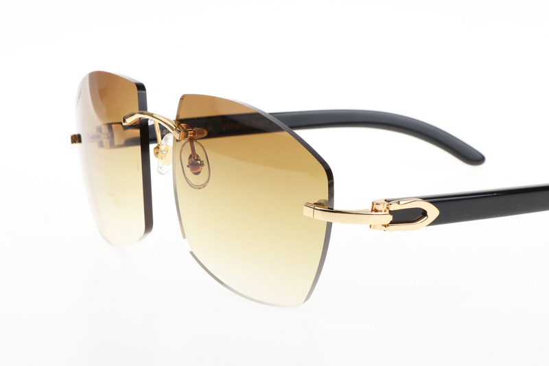 CT 4189706 Black Buffalo Sunglasses In Gold Gradient Brown