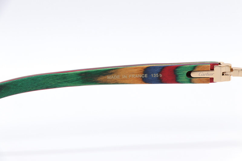 CT 4189706 Rainbow Eyeglasses Gold