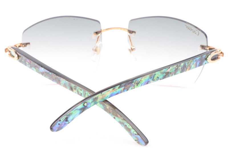 CT 4189706 Shell Mix Black Buffalo Sunglasses In Gold Gradient Grey