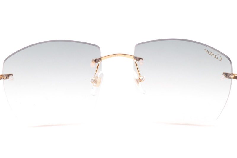 CT 4189706 Shell Mix Black Buffalo Sunglasses In Gold Gradient Grey