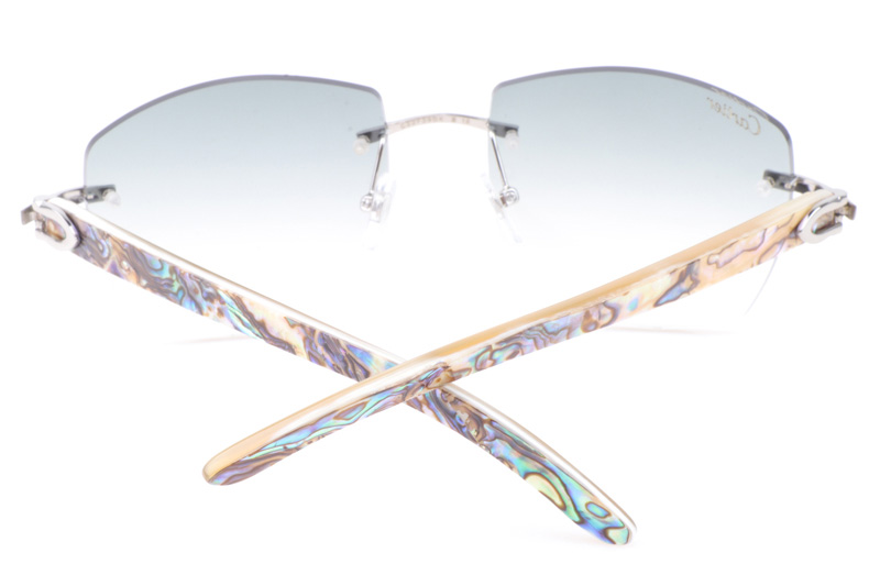 CT 4189706 Shell Mix White Buffalo Sunglasses In Silver Gradient Grey