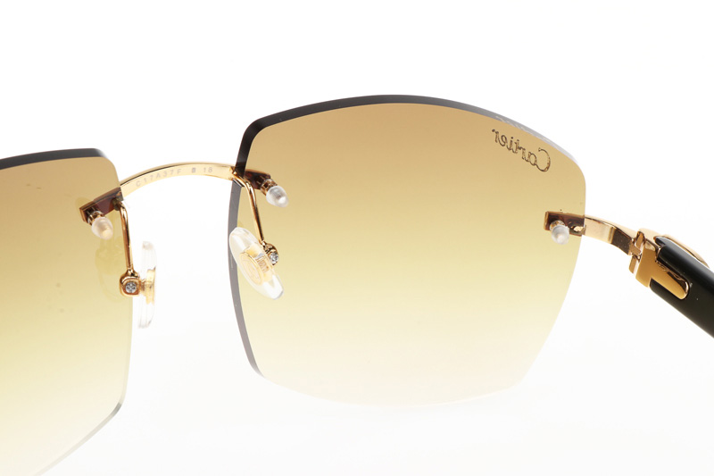 CT 4189706 White Mix Black Buffalo Sunglasses In Gold Gradient Brown