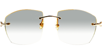 CT 4189706 White Mix Black Buffalo Sunglasses In Gold Gradient Grey