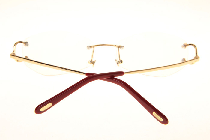 CT 4193831 Eyeglasses In Gold