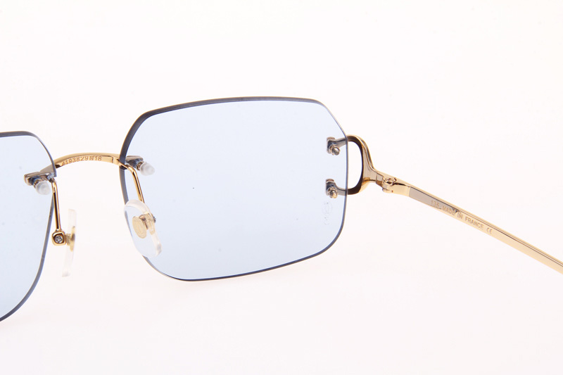 CT 4193833 Sunglasses In Gold Blue