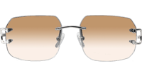 CT 4193833 Sunglasses In Silver Gradient Brown