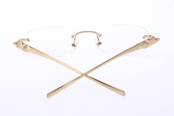 CT 5102336 Eyeglasses In Gold