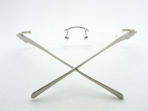 CT 5102336 Eyeglasses In Silver