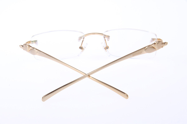 CT 5102338 Eyeglasses In Gold