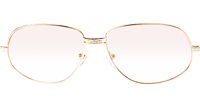 CT 566 Wood Sunglasses In Gold
