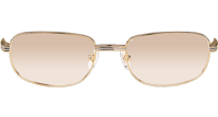 CT 7381148 Wood Sunglasses In Gold Brown