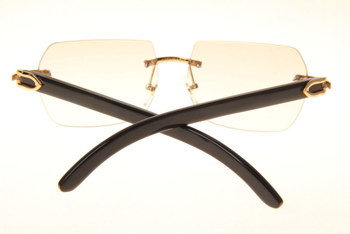 CT 8300818 Black Buffalo Sunglasses In Gold Gradient Brown