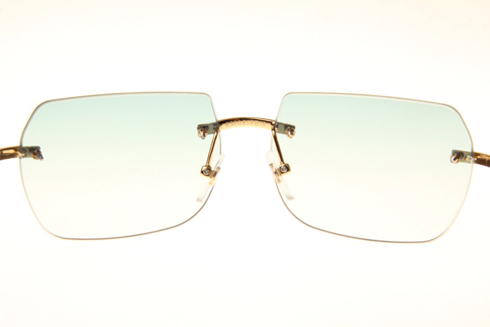 CT 8300818 Black Buffalo Sunglasses In Gold Gradient Green