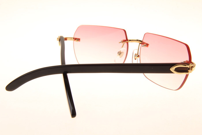 CT 8300818 Black Buffalo Sunglasses In Gold Gradient Pink
