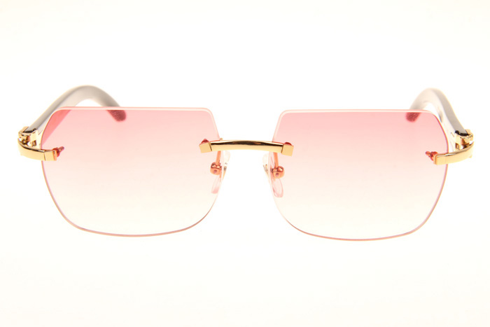 CT 8300818 Black Buffalo Sunglasses In Gold Gradient Pink