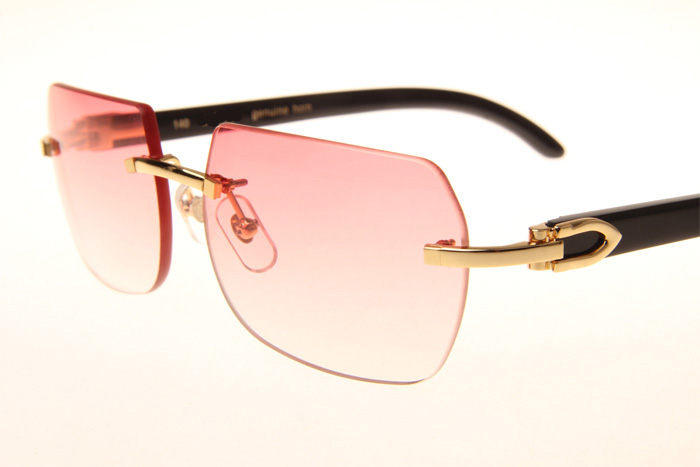 CT 8300818 Black Buffalo Sunglasses In Gold Gradient Pink