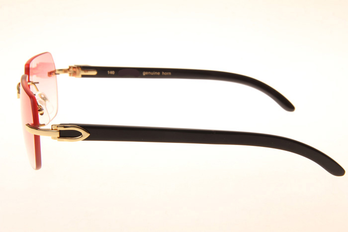 CT 8300818 Black Buffalo Sunglasses In Gold Gradient Pink