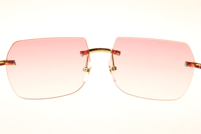 CT 8300818 Black Buffalo Sunglasses In Gold Gradient Pink