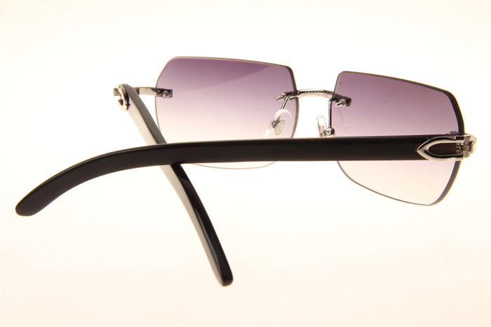 CT 8300818 Black Buffalo Sunglasses In Silver Gradient Grey